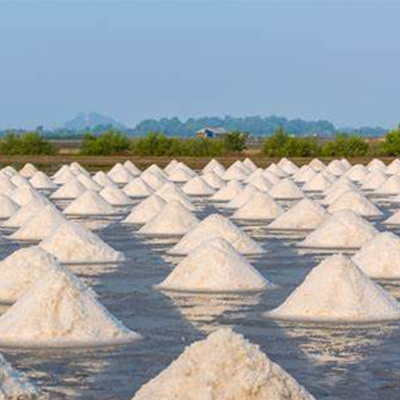 Evaporatore di acqua inquinata per la produzione di carta