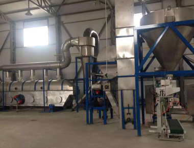 Linea automatica pianta di produzione di sale della cucina dei semi di raffinazione del sale