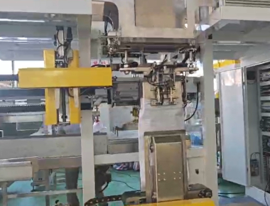 Confezionatrice VFFS ad alta velocità per sale per buste da 50g a 2kg