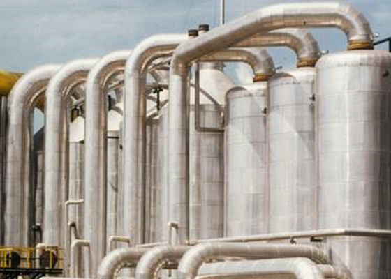Sistema di evaporazione di effetto multiplo di iso per Juice Concentration