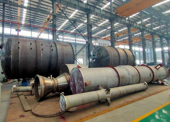 Evaporatore con pellicola discendente di multi effetto di acciaio inossidabile per farmaceutico